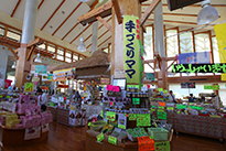 道の駅「ゆいゆい国頭」